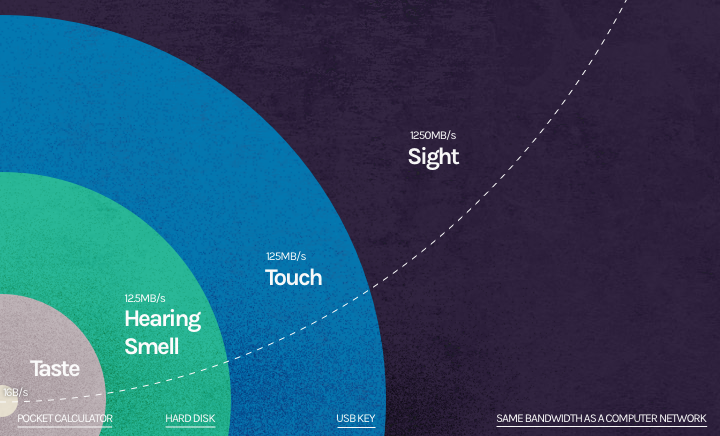 The Bandwidth Of Senses